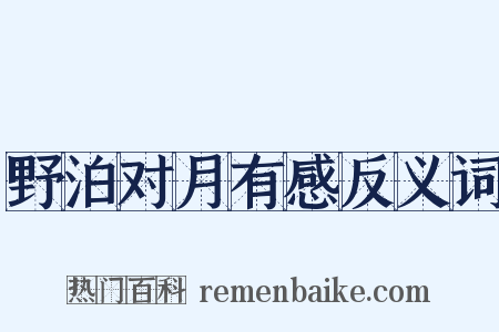 野泊对月有感反义词是什么意思的图片